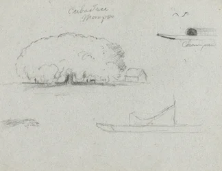 Ceiba-boom bij Mompos, Champan-kano, bomen en een gedeeltelijke boot, Rio Magdalena, Colombia